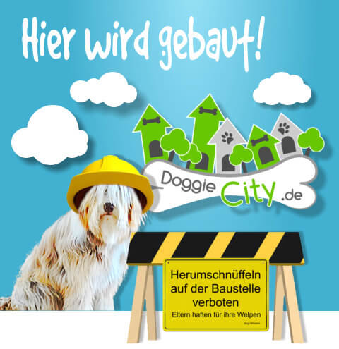 DoggieCity Baustelle Mobil